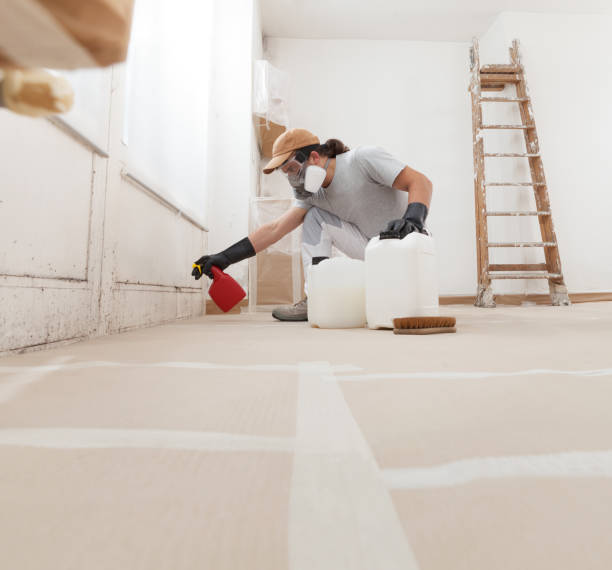Dehumidification Services in Milam, TX